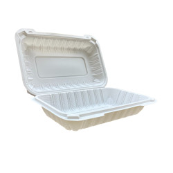 M096 - Rectangular Hinged Plastic Container
