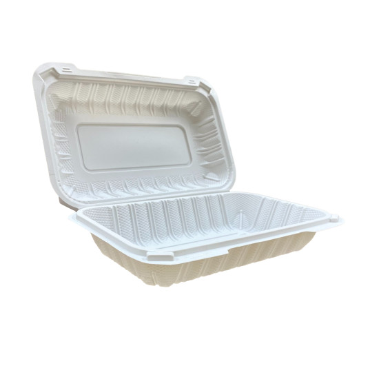 M096 - Rectangular Hinged Plastic Container
