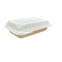 M096 - Rectangular Hinged Plastic Container