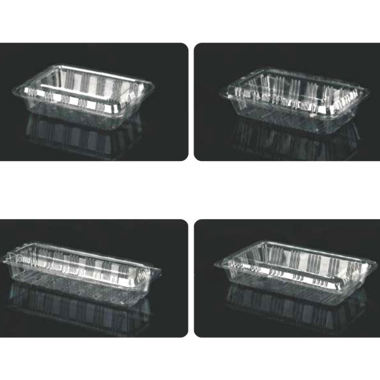 Clear Hinged Plastic Container