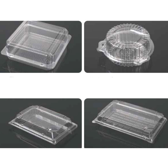 Clear Hinged Plastic Container