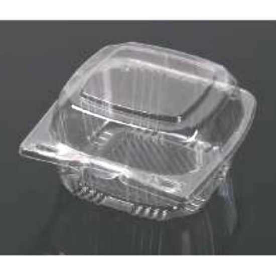 Clear Hinged Plastic Container