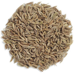 Cumin Seeds (25KG/55LB)