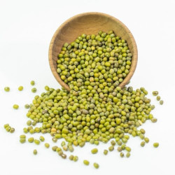 Mung Bean (1LB)