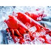 Frozen Food