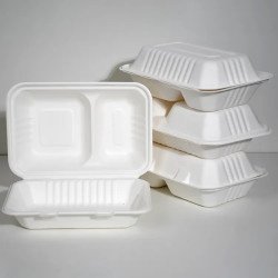 2 Compartment Hinged Sugarcane Container